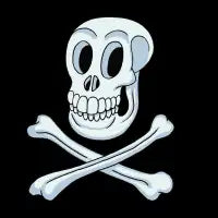 Skull and crossbones - design