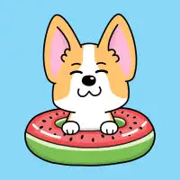 Corgi Watermelon Pool Float Summer - design
