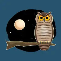 Night Owl - design