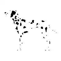 Spot me! - design