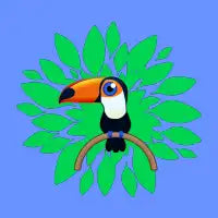 Toco Toucan - design