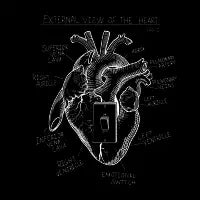 Anatomical Heart Anatomy - design