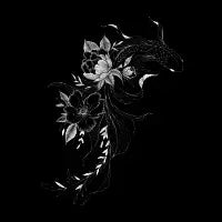 Betta And Flowers - design