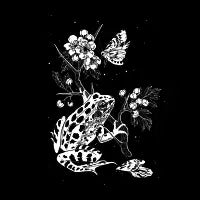 Frog lunch - design