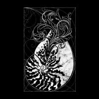 Nautilus - design