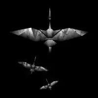 Origami Crane - design