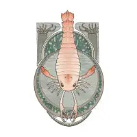 Art Nouveau Eurypterid - design