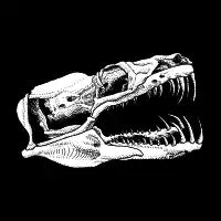 Green Python Skull (Dark Background) - design