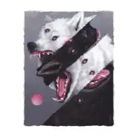welff - design