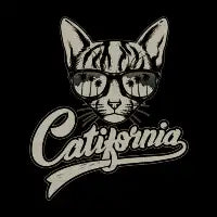 Catifornia - design