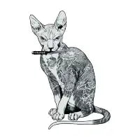 Gangster - design
