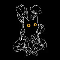Hide and Seek - design