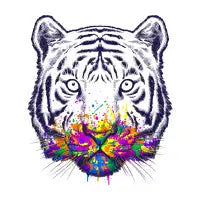 I didn't see rainbow - design