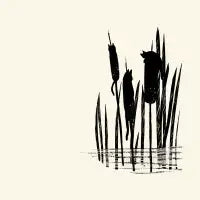 Cattails T-Shirt - design