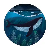 Last Whale - design