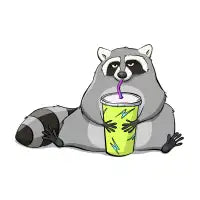 Slushie Raccoon - design