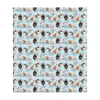 The Pomeranian - design
