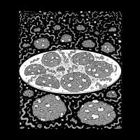 Cookie Cryptids Grey - design