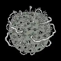 The Rot Within - design