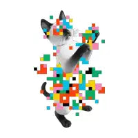 Pixel Puurfect - design