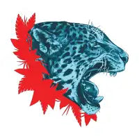 Alma Jaguar - design