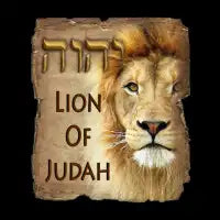YHWH - design