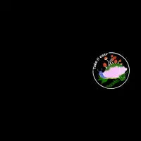 Take it easy - design