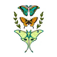 three wings - design
