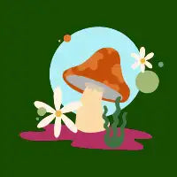 Mush - design
