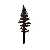 Pine Tree - design