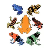 Dart Frogs - design