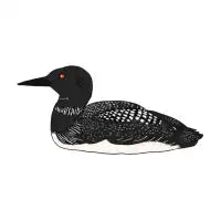 Loon - design