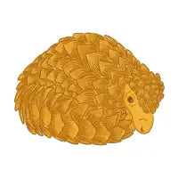 Pangolin - design