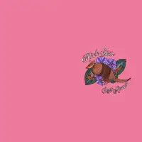 Thick Skin Armadillo - design