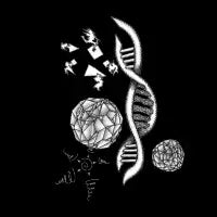 'Genetic Crystalization' - design