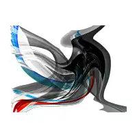 RAINBOW PIGEON 1 - design