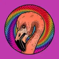 Hypno Flamingo T-Shirt - design