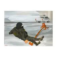 ICE ON ICE - design