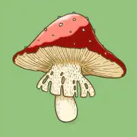 Mushy - design