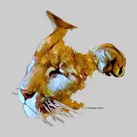 Cougar - design