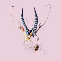 Jackalope - design