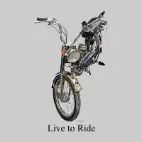 Live to Ride - design