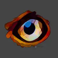 The Watcher Series - Eagle - design