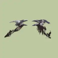 Two Ravens Talking - design