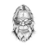 Bigfoot's Big View - design