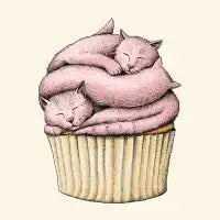 Catcake - design