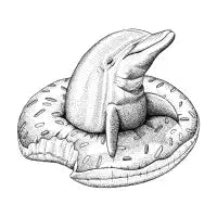 Dunkin Dolphin - design
