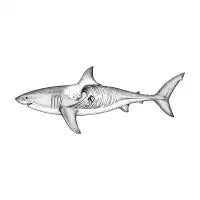 Great White Wave - design