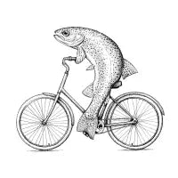 Rainbow Bike Trout - design