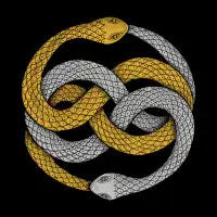 The Auryn (Color Version) - design